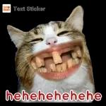 funny 