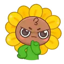 paquete