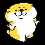 SHIBANBAN微笑柴犬-寶寶逃避現實