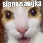 konto..