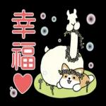 柴語錄 X 水豚君-