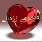 نه خومه ژژه ائے