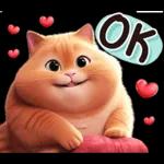 cute cat ❤️❤️