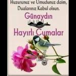 aynur