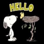Snoopy: Peanuts (80's)
