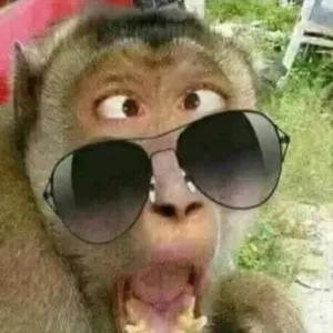 KDWeJo