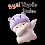 แมวฮิปโปสุดน่ารัก : คุยกันทุกวัน(BIG)