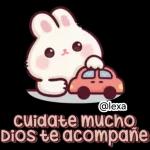 🎀🐰Andy, Conejo🐰🎀 2