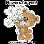 EVANGELIZ🙏✨arte