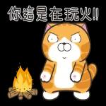 白爛貓51☆腦有動☆