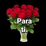 mi amor ,todo por ti