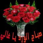 منورين
