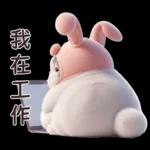 Meow Rabbit