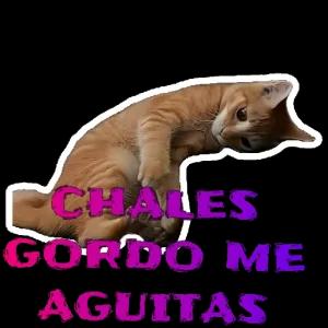 UWDJpE