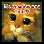 culos 