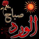 صباح الورد
