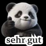 süße Panda❤️😍