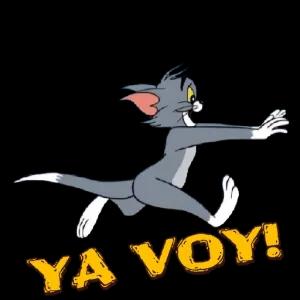 YA VOY! - getsticker.com
