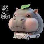 หมูดุ้งฮิปโปตัวกลมใบไม้