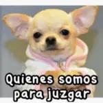 memes_de_perr...