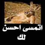 كل شيء على مايرام