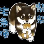 萌宠sticker 02262🥰