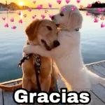 MADRE MIACOMO ESTÁEL PATIO