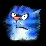 Blue Cats
                            Rina Zenyuk