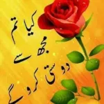 واه واه کیا بات لے گیاڈی