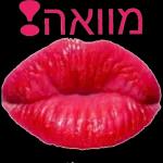 מדבקות