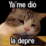 : BUENOS DIAS
