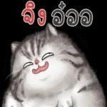 ລື້ ອ ບໍ່ວວ