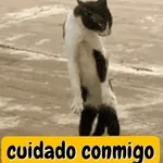 ¿Tomaste la pastilla?