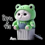 ข้าวต้ม ชุดกบ หน้าบูด