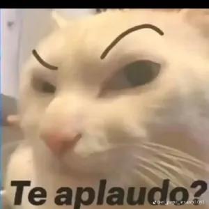 GCehwn
