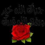 جزاك الله خير ورفع الله قدرك