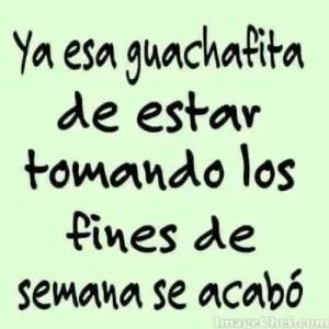 Ya esa guachafita de estar tomando los fines de semana se acabó - getsticker.com
