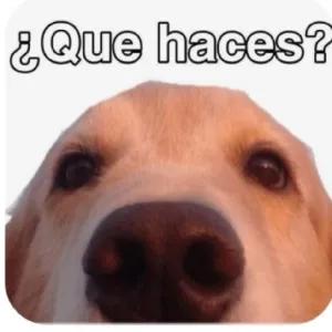 ogbdzT