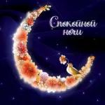 спокойной ночи 