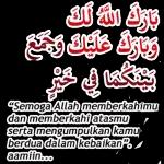 文字sticker 01081😎 