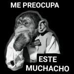 Entiende, verga!!