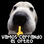 VAMOS cerrando el ortito