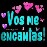 Vos Ne encantas!