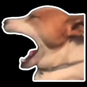 o33pWe