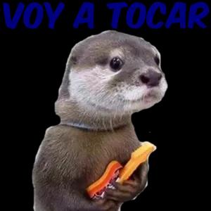 ibtqcse