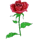 ✨❤️ Llueve amor en tu día