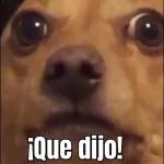 que diji