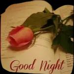 hope ur day is awesome