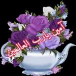 تسلمي يا غالية