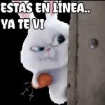 Que haces?